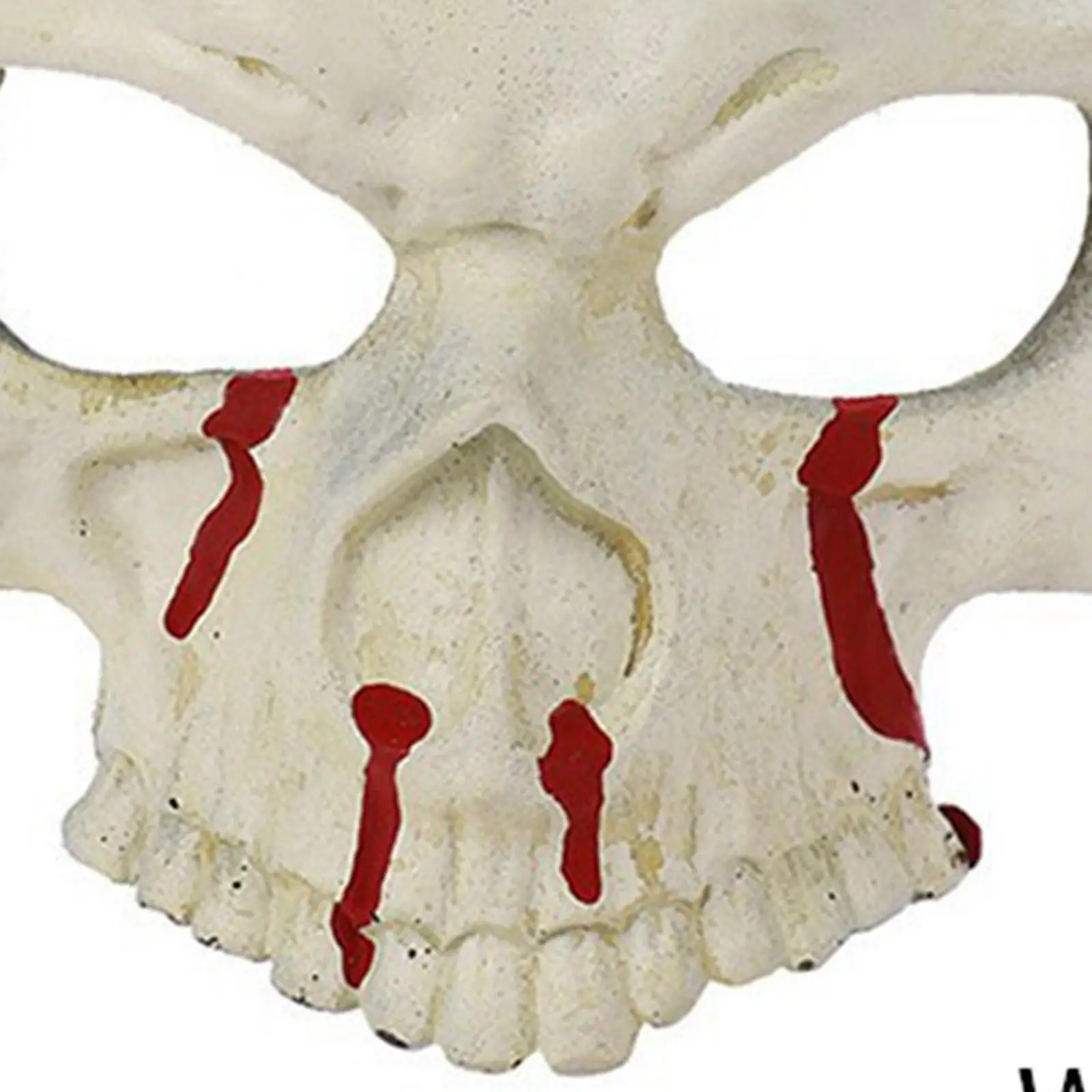 قناع جمجمة الهالوين قناع عين للبالغين التظاهر #5