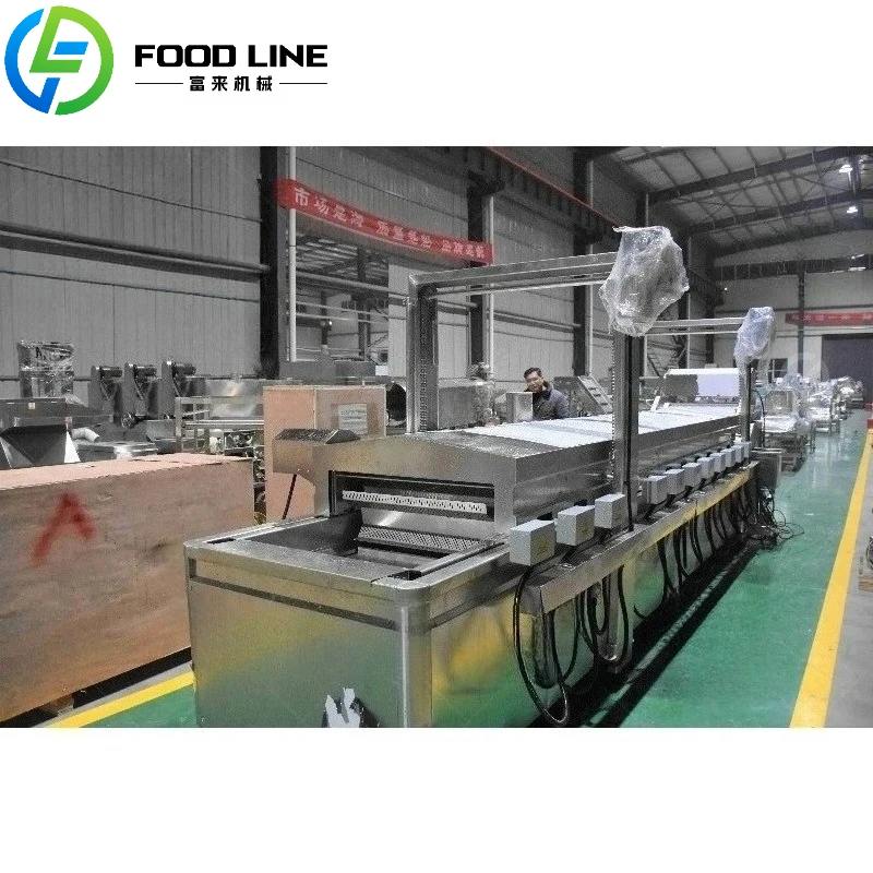Continuous Gas Onion & Mushroom Chips Production Line Automatic Fryer PLC Control Easy Maintenance Best Seller