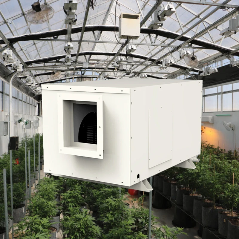 Conloon CLG-138 Cei…