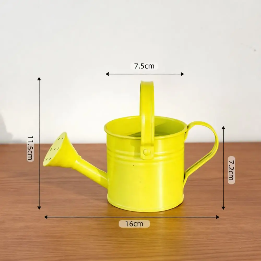 Metal Watering Can Flower Pot Small Iron Succulent Planter Creative Garden Decoration Desktop Ornament Colorful Plant Vase