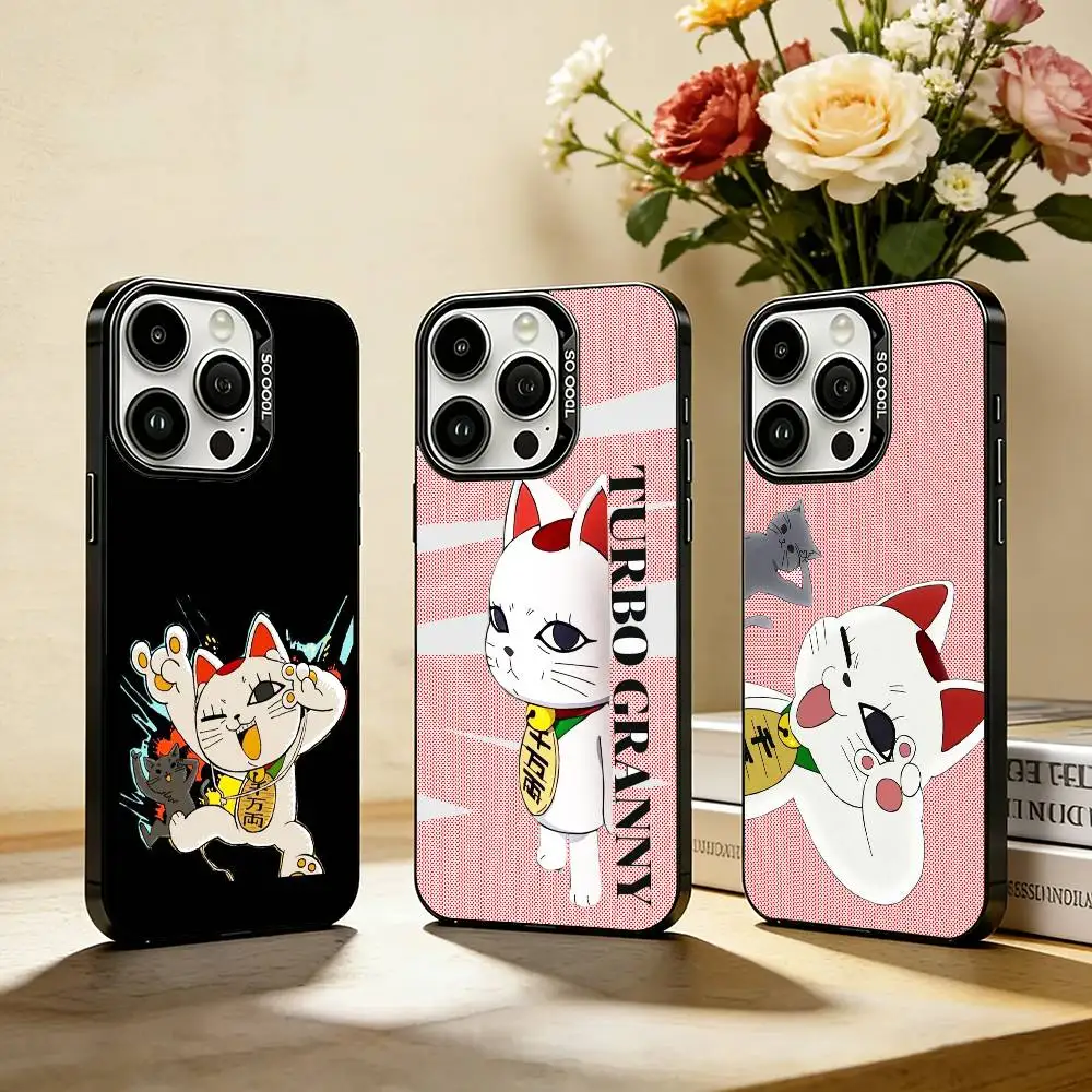 

Funny T-Turbo Grann Phone Case For IPhone 17,16,15,14,13,12,Pro MAX White Matte Shockproof Cover KEY