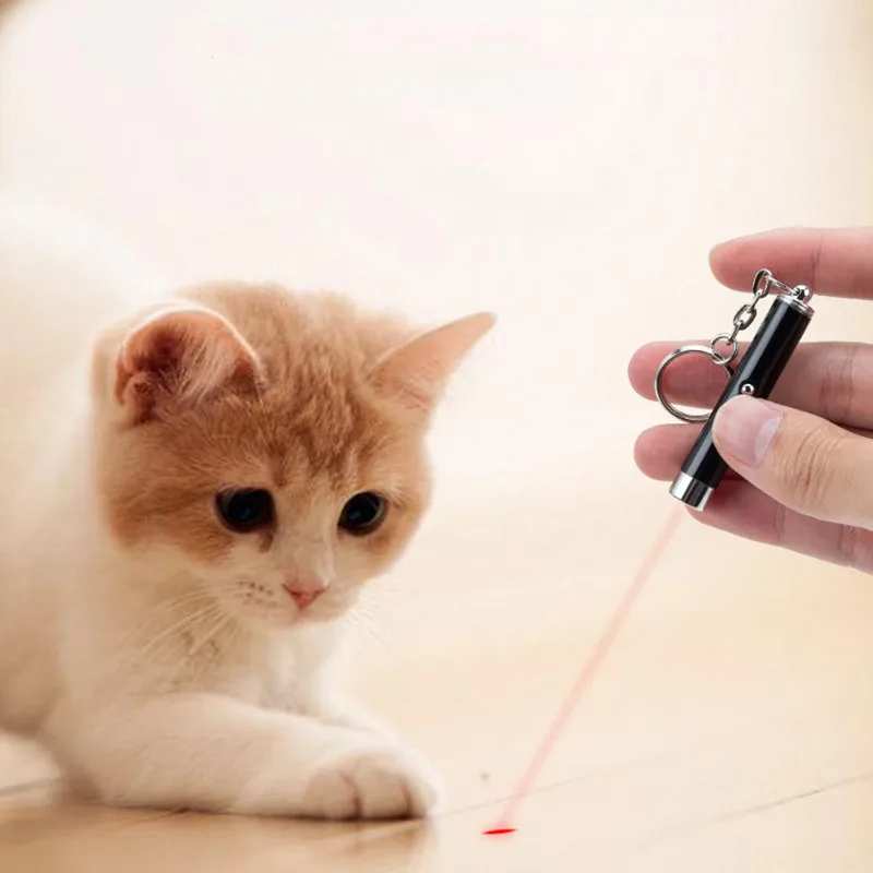 6 Colors 2-In-1 Cat Pet Toy Red Laser Light LED Pointer Pen Keychain White Flashlight Torch Interactive Training For Cat Dogs