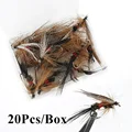 20 Piezas