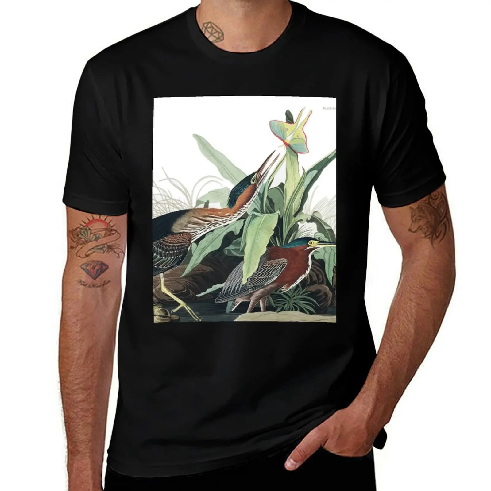 

Green Heron - John James Audubon T-Shirt blanks oversized men t shirt