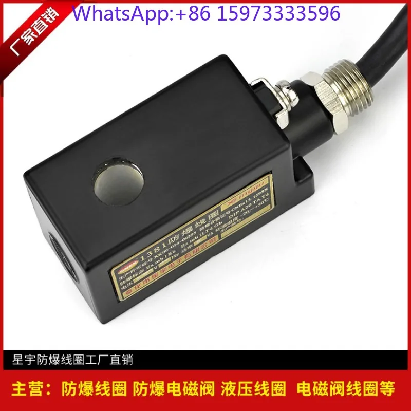 1381 AC220V 1380 DC24V IICT4 Explosion Proof Electromagnetic Coil, Dust And Gas Isolated Solenoid Coil Replacement Parts
