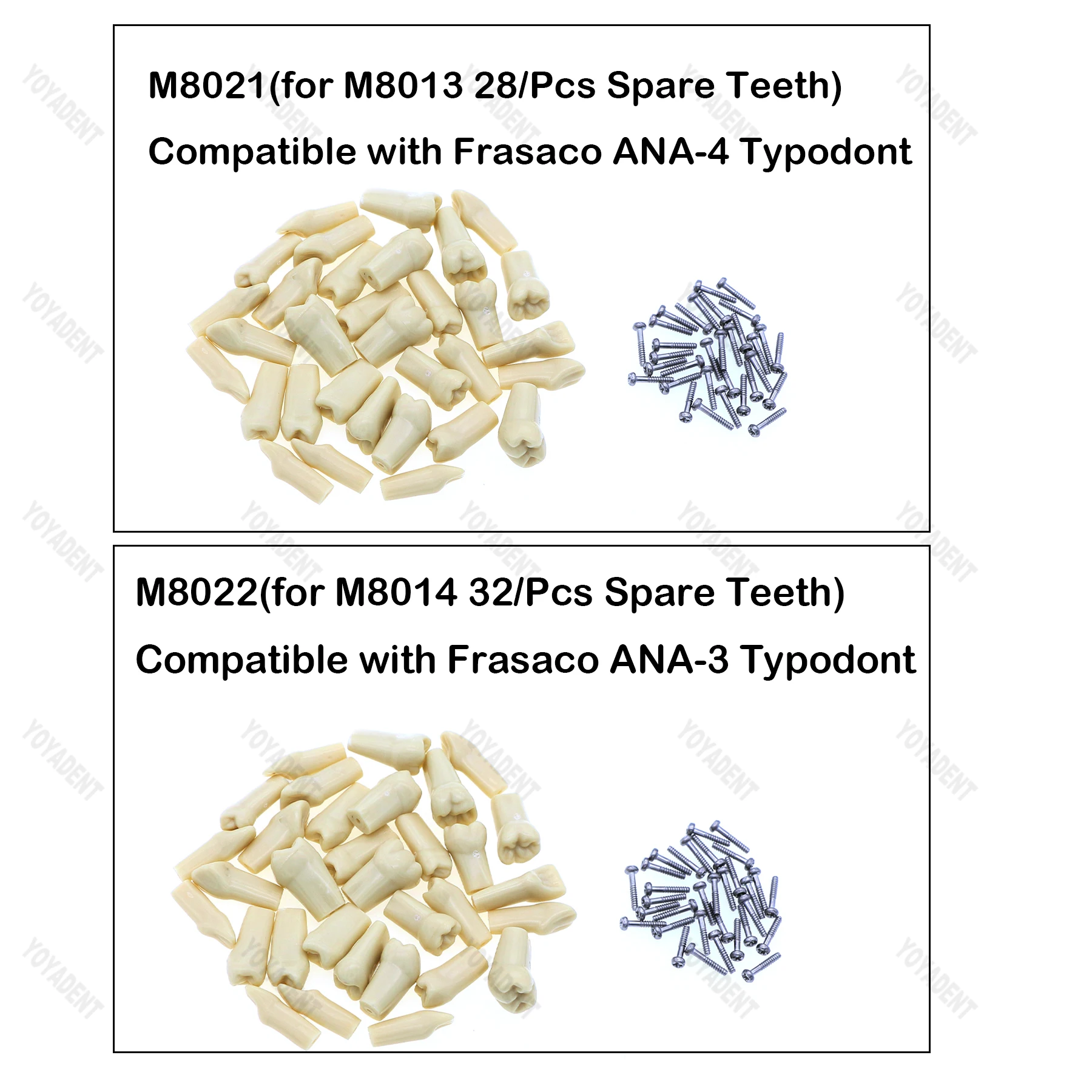 Dental Teeth Model 28/32Pcs Tooth Screw-in Replacement Similar Frasaco ANA-4 ANA-3 For Restorative Operative Simulation