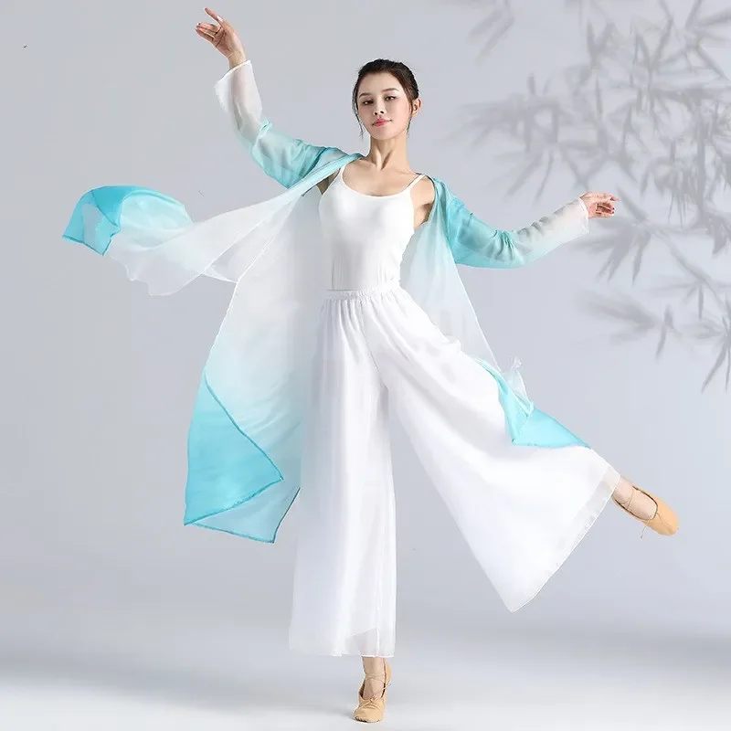 Women Classical Dance Long Dress Flowy Loose Shirt Chiffon Harem Pants Dancer Practice Wear Chinese Folk Dancewear Gradient