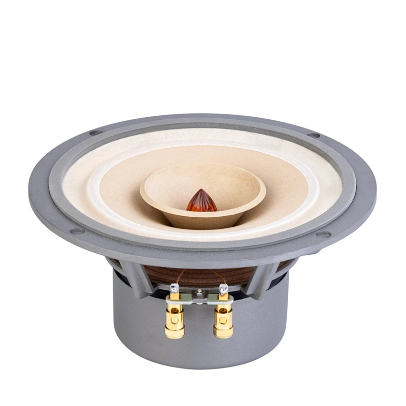 LS-05 Fast-8 8 بوصة مكبر صوت HiFi كامل المدى وحدة مكبر صوت كاملة المدى 50-80 وات 8 أوم /LII AUDIO FAST-8/ موسيقى -8 1 زوج #2