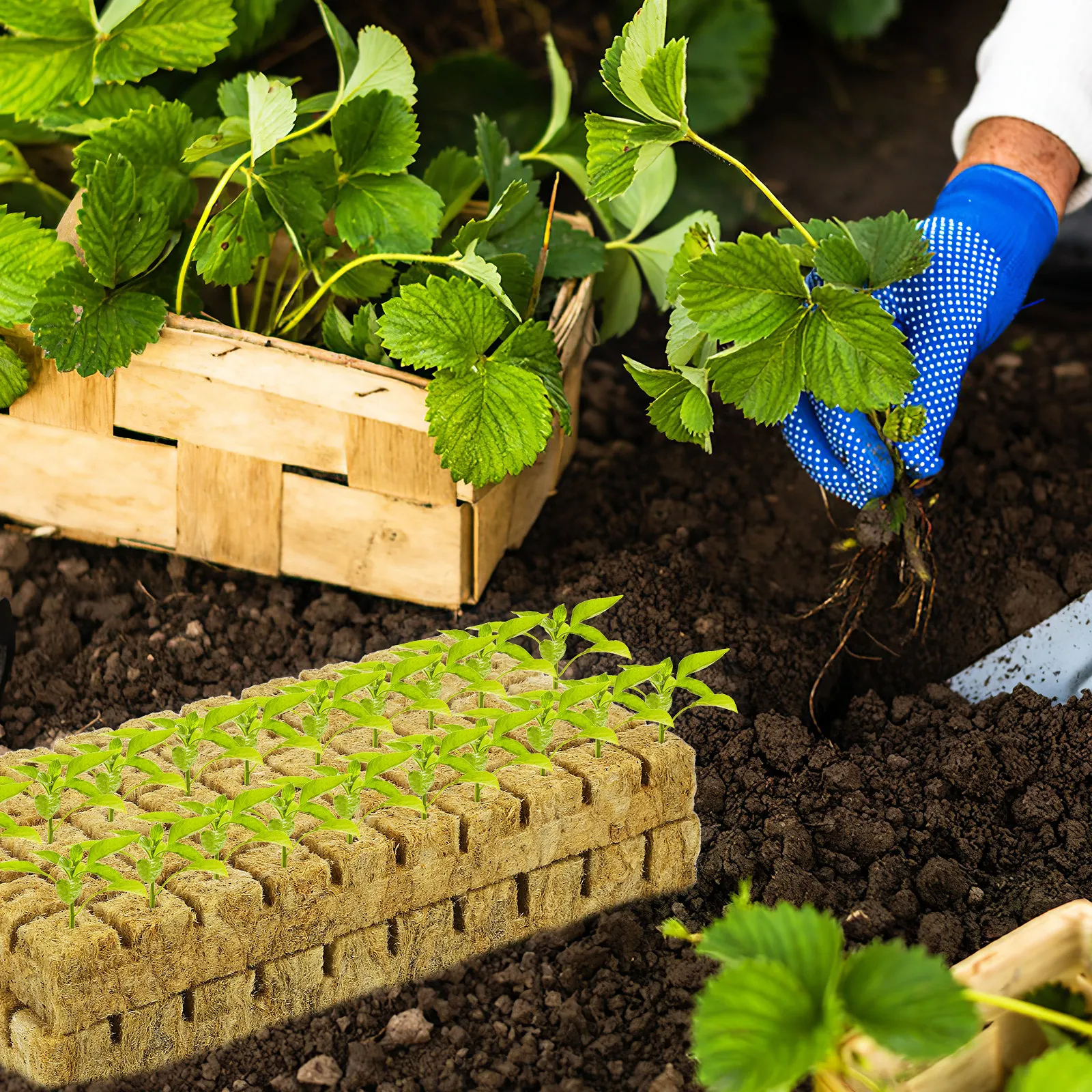 100Pcs Plant Grow Starter Plugs Fiber Cubes Seed Propagation Blocks Hydroponics Soil Soiless Plant Cubes