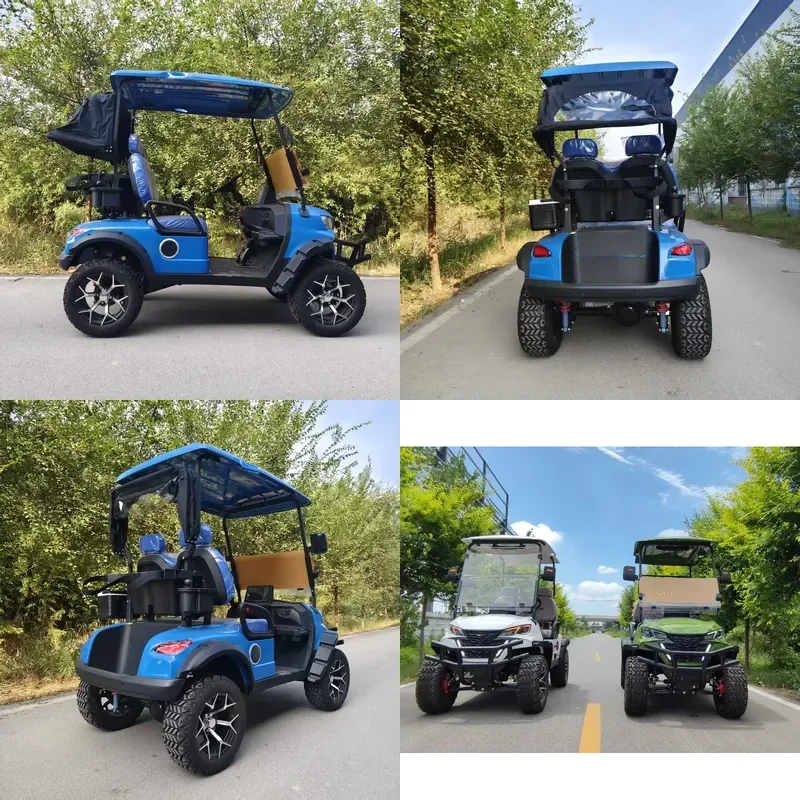 New Design 2 Seater Electric Golf Cart Durable Metal Body 60V Battery Multiple Seat Options for Sale