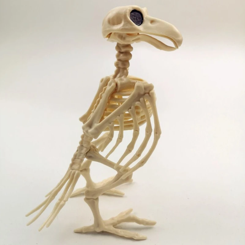 Crazy Bone Skeleton Raven Lifelike Plastic Decoration for Halloween Parties Haunted House Props Realistic Bird Skeleton Display