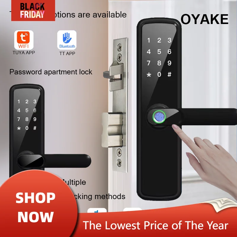 Smart fingerprint door lock apartment hotel long-term short-term rental limited time password USB emergency unlock TUYA TT APP