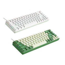 Mechanical white keyboard Gamer mini Keyboards key board 68 keys   PC Laptop Backlit Musical Computer keyborad  green Colorful