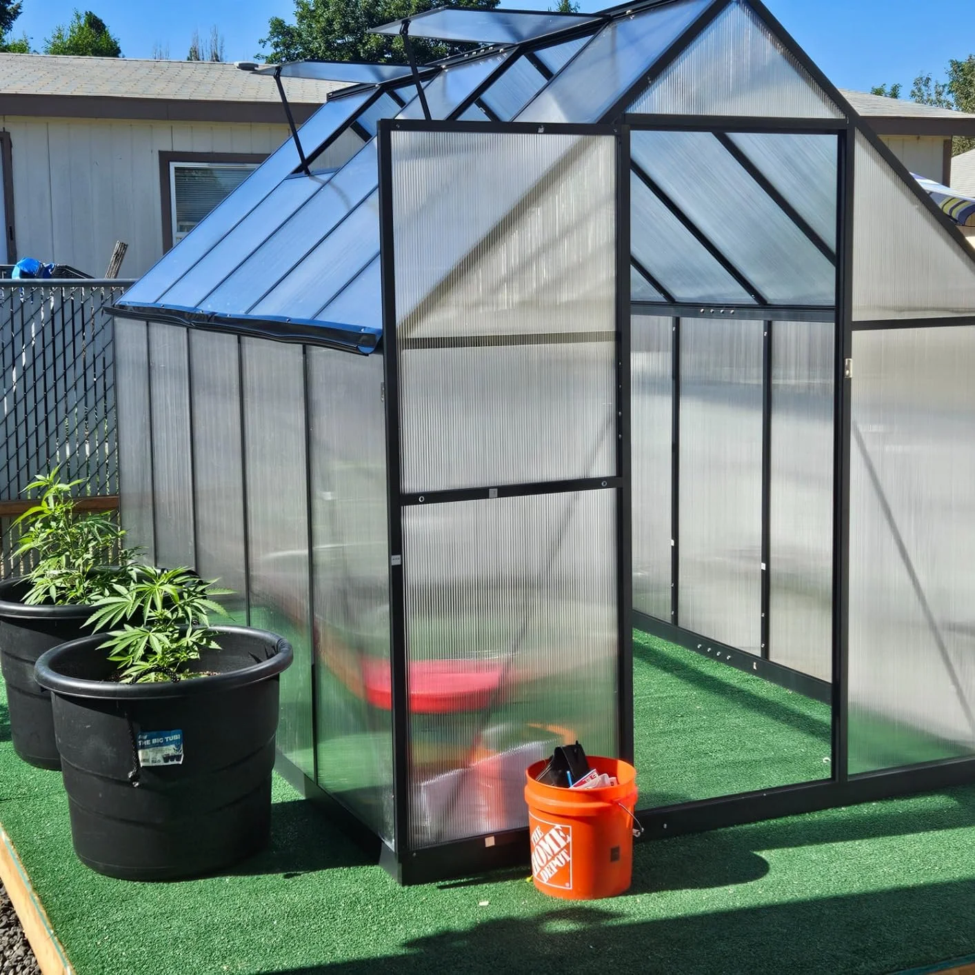 Modern Greenhouse for Garden Aluminum Structure and UV Resistant Plastic Wall Panel Easily Assemble Design Durable Waterproof