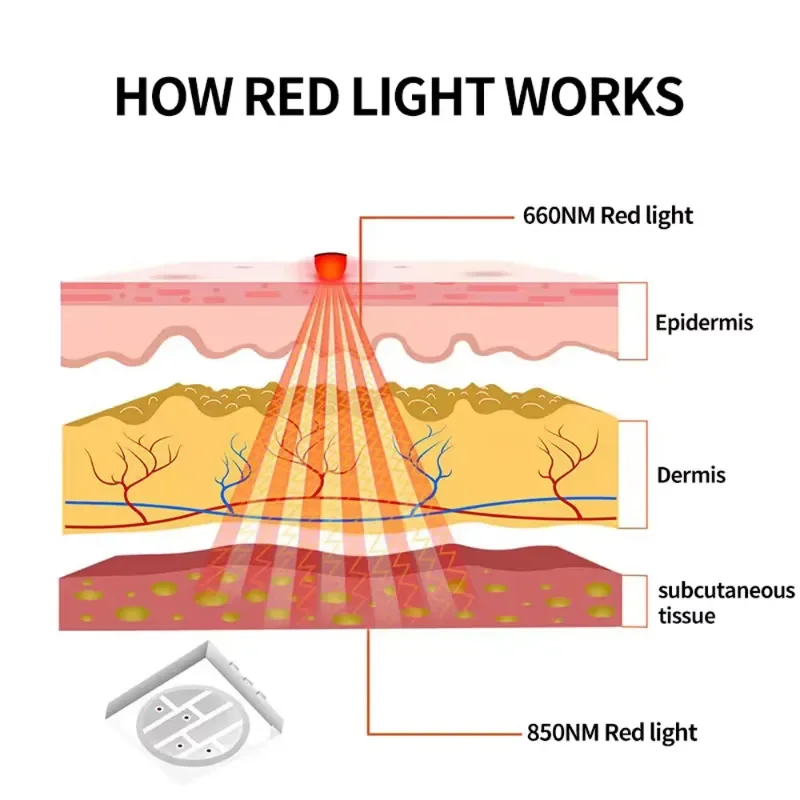 2025 New Arrival Home Use Hand Held 660nm 850nm  Red Light Therapy Wrap for  Dog Back Pain Relief