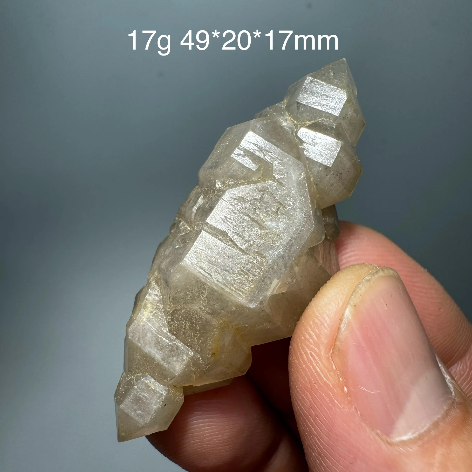 17g Natural Herkimer Diamond Skeletal Oil Gall Crystal Mineral Specimen Healing Stone Home Decor Fluorescent Effect