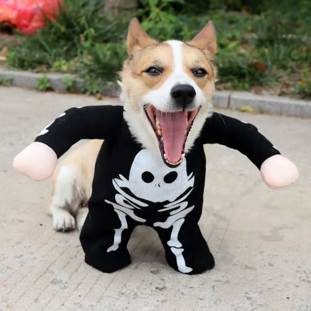 

Cats Dogs Halloween Glow-in-The-Dark Skull Graphic Costumes, Funny Dog Cosplay Skeleton Costumes Outfit, Puppy Scary Dog Costume