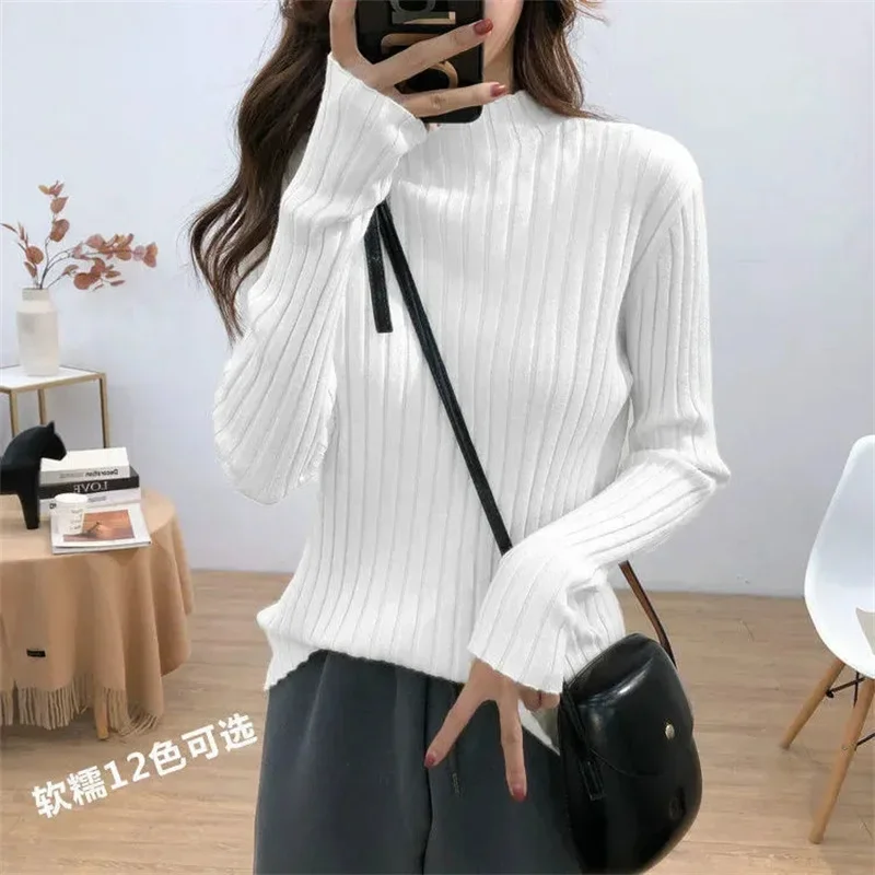 2024 New Turtleneck Women Autumn Winter Pullover Sweater Basic Casual Slim Stretch Soft Ribbed Knitted Top Woman Sweaters