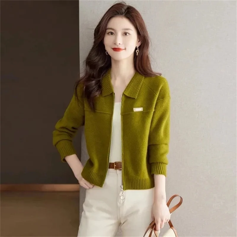 Spring Autumn New Lapel Collar Zipper Women Knitted Cardigan Sweater Jacket Fashion Short  Leisure Versatile Female Sweater