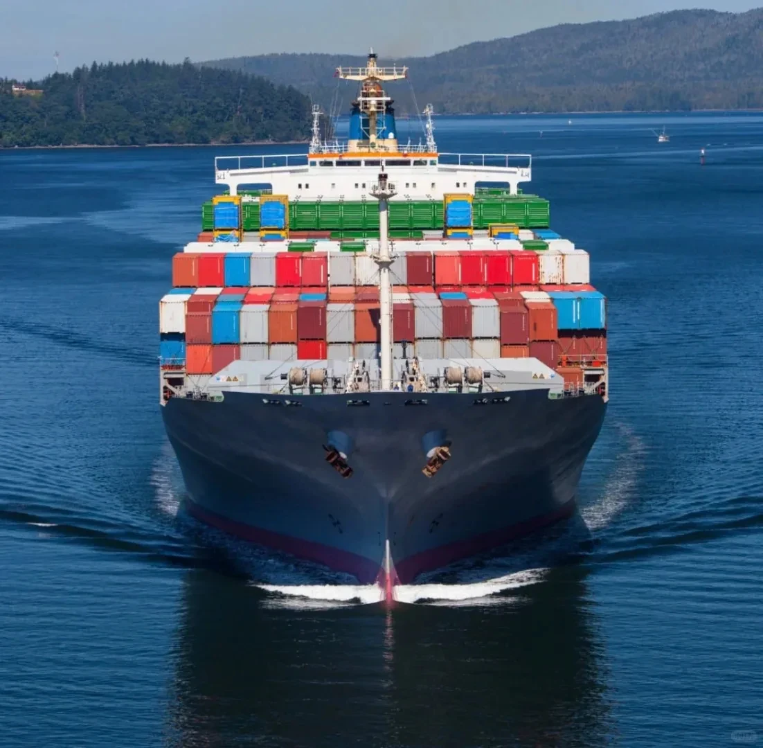 

VIP--Product payment link/customs clearance/shipping