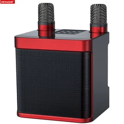 20W Powerful Wireless Portable Dual Microphone Bluetooth Sound Outdoor Family Party Karaoke Subwoofer Boom Box with 2 Microphone
