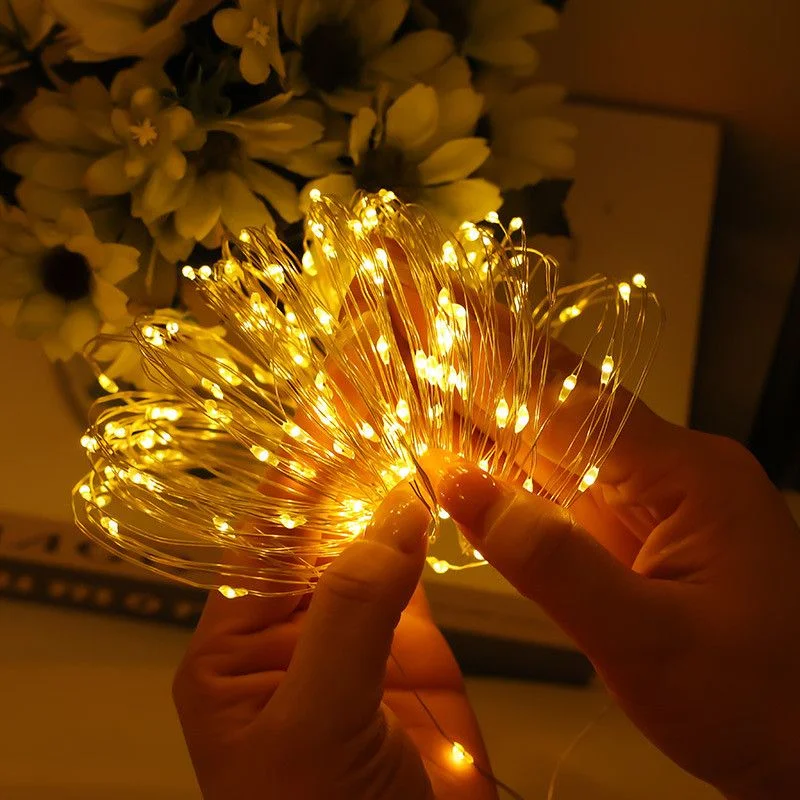 Fairy LED String Lights with Remote Control 8 Modes USB Plug Copper/Silver Wire Lights for Wedding Party Home Room Decoration