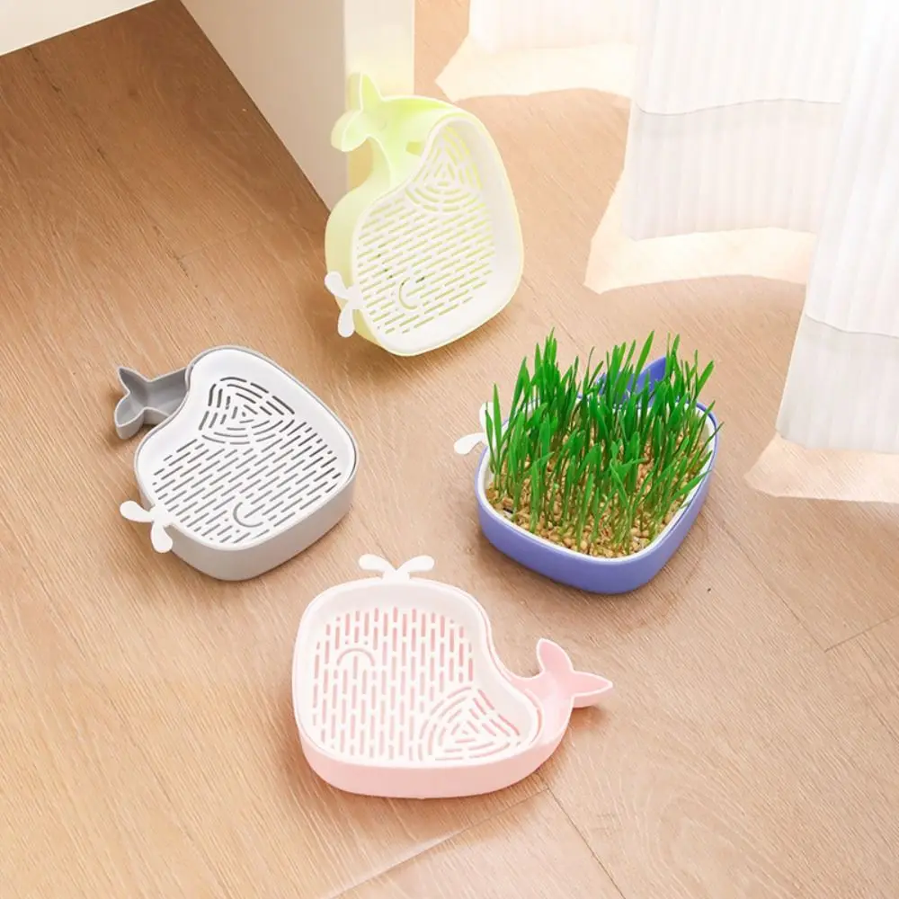 Little Whale Cultivation Sprouting Tray Reusable Cat Grass Planting Growing Tray Creative Convenient Germination Nursery Pot