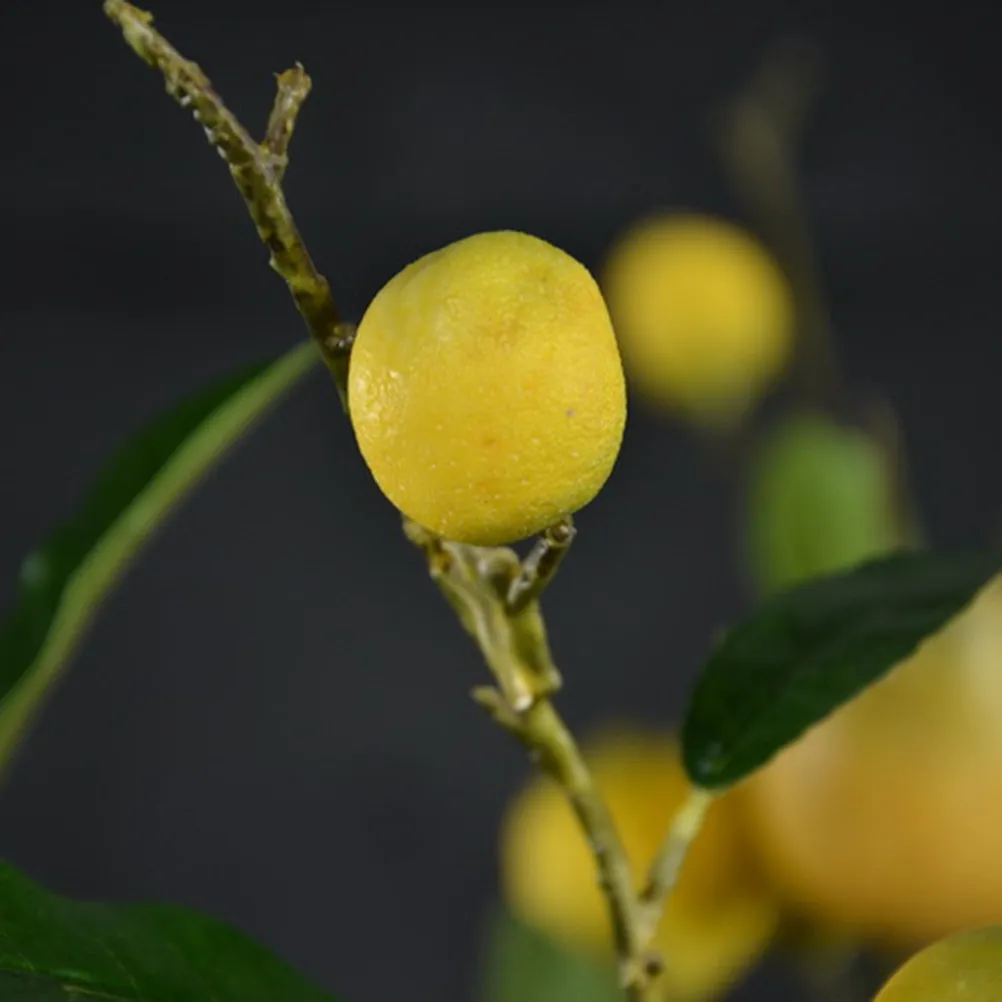 

Искусственная лимонная ветка: реалистичные имитации веток деревьев для декора дома, магазина, офиса, цветочных композиций