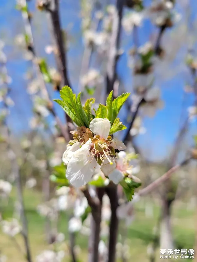 2Pcs Steel Steering…