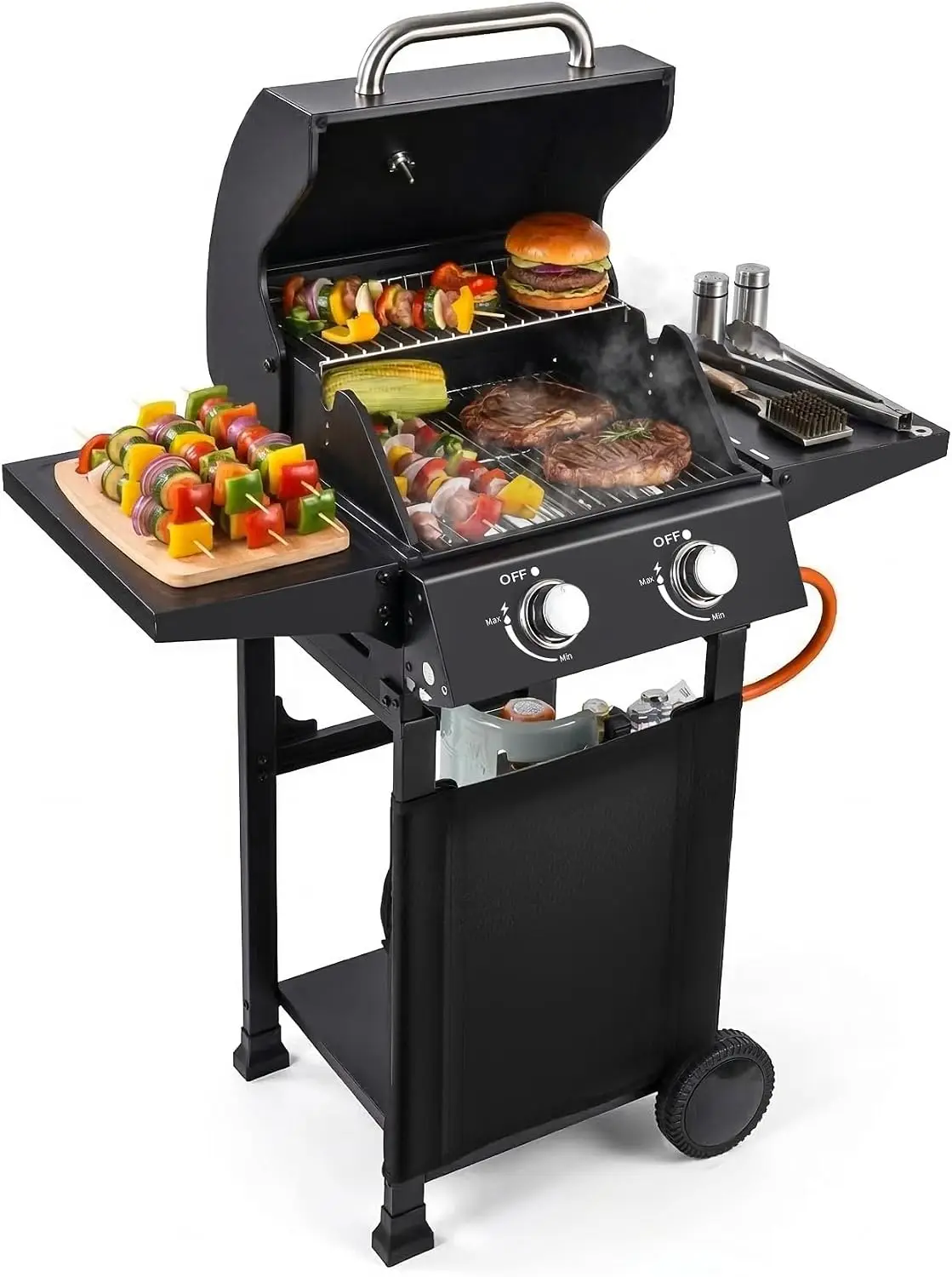 Tacleekii 2 Burner Propane Gas Grill 16000 BTU Stainless Steel Portable BBQ Grills Propane Gas with Removable Cart for Patio Camping, Backyard, Barbecue