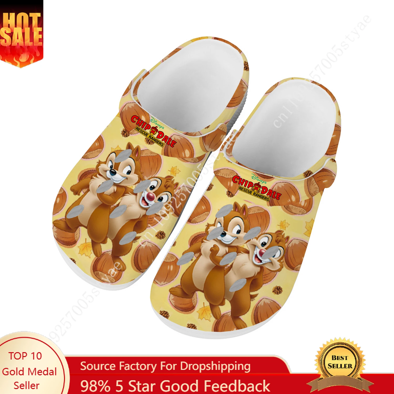 

Disney Chip 'n' Dale Water Shoes Men Women Comfortable Fashion Home Garden Clogs Customizd Sandals Beach Breathable Hole Slipper