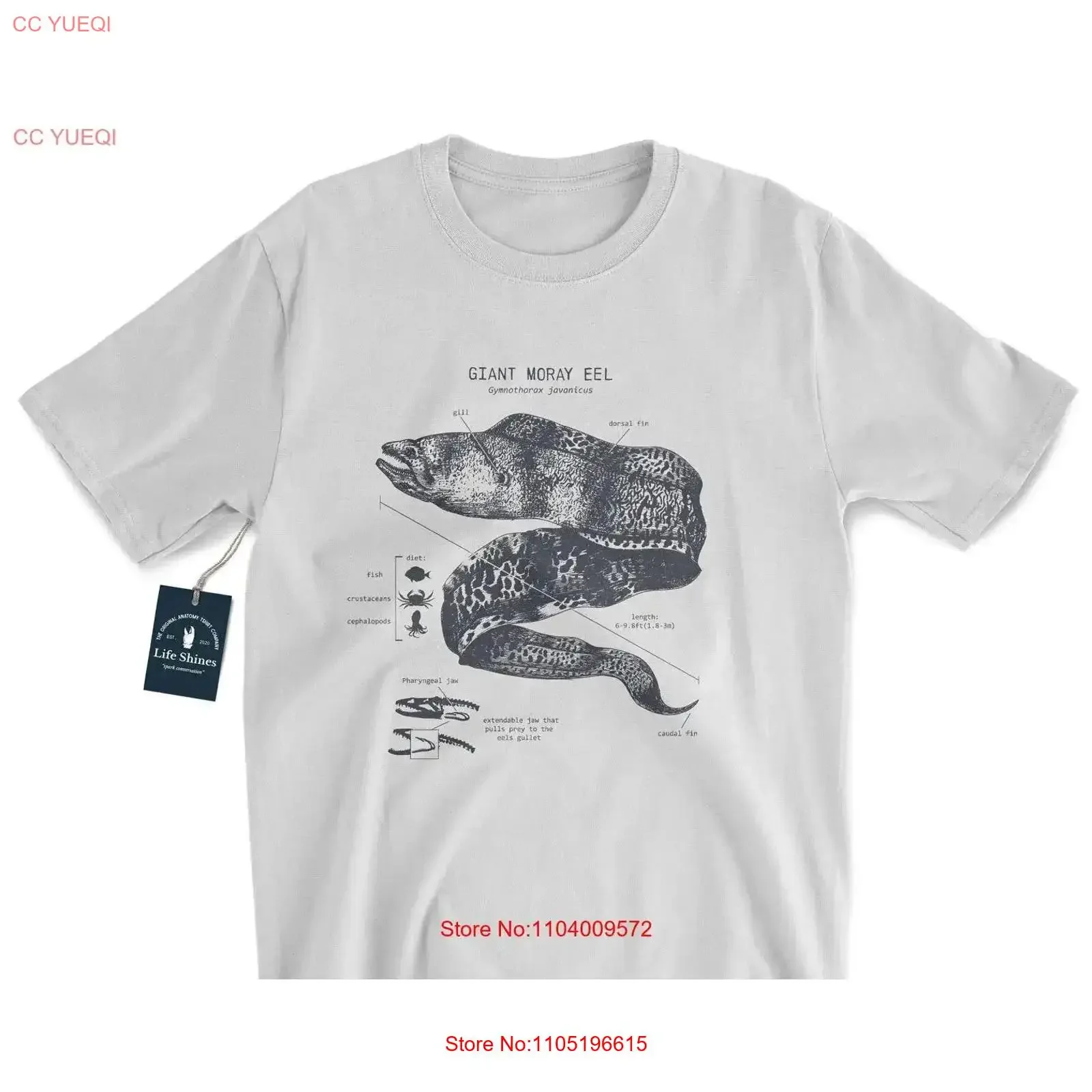 Moray Anguila Anatomía Camiseta Marine BiologisT Summer Beach Diver vintage Lavado Estirado Ropa de calle cómoda ropa de diseñador