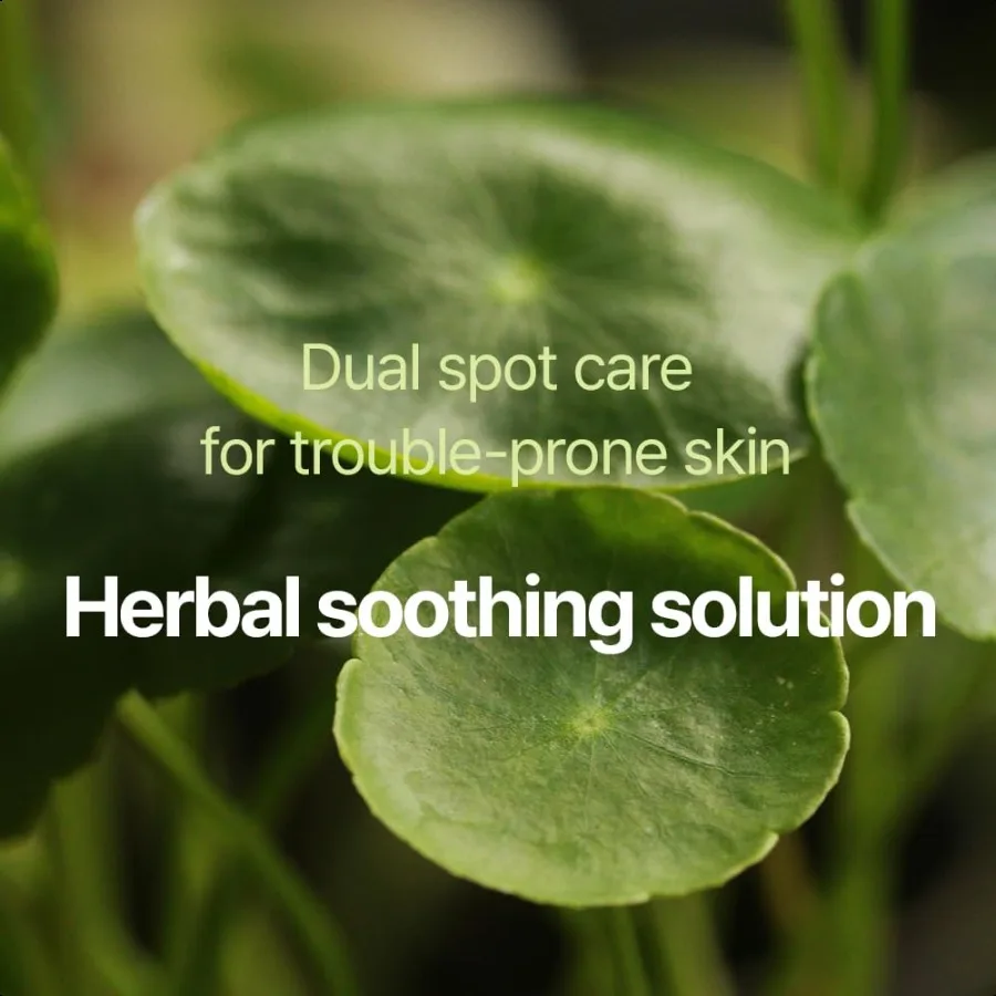 Pyunkang Yul PKY تهدئة بقعة واضحة الرعاية المكثفة 165 عدد في نهاية المطاف الغروانية المائية حب الشباب بقعة بثرة العيوب وZit Cov