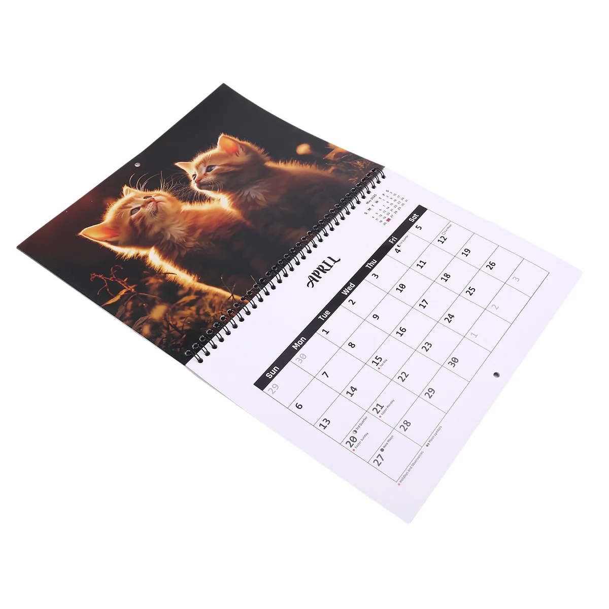 2025 Calendar Cats Monthly Wall Calendar, Family Planner Calendar Organizer with Funny Fat Cats Images, for Cats Lovers