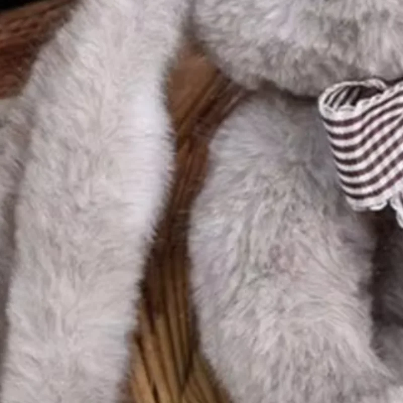 

Huggable Bunny Toy Plush Soft Rabbit Simulation Animal Doll Home Living Room Bedroom Decoration Birthday Gift For Kids Toy 2026