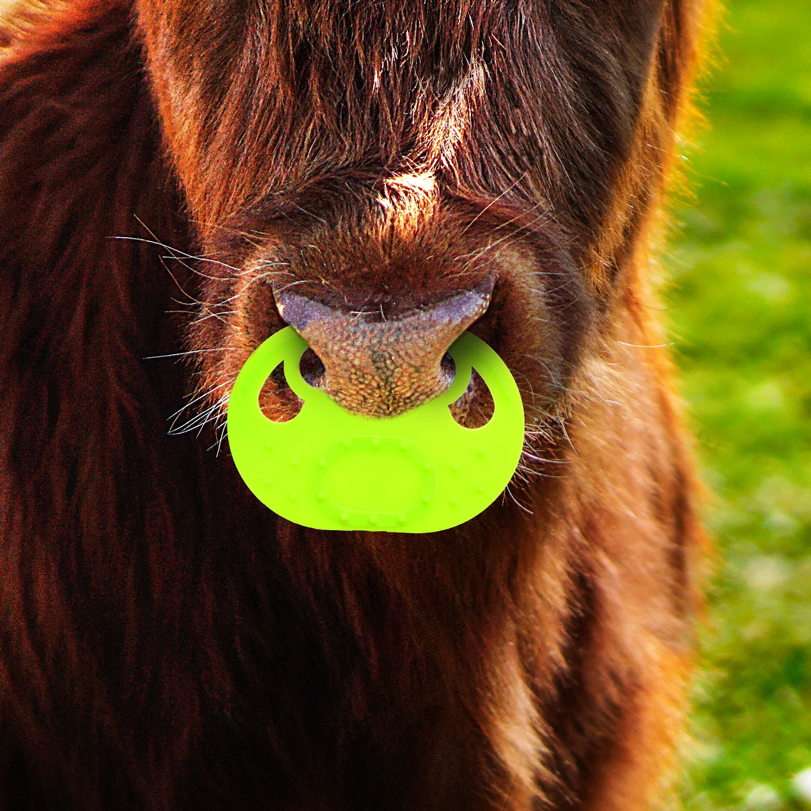 

4Pcs Calf Weaner Heavy Duty Cattle Nose Clamp Calf Weaning Equipment Portable Farm Livestock Tool Cattle Supplies