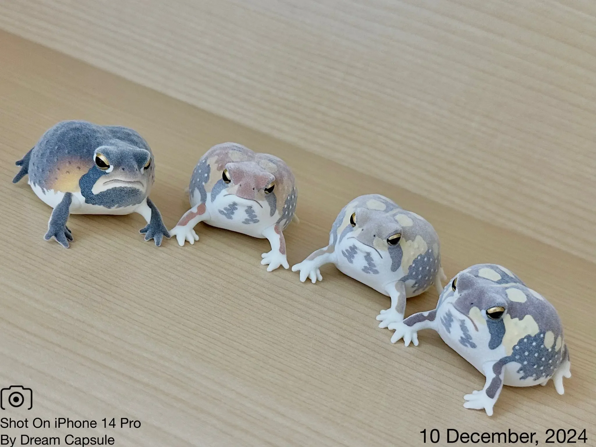 Ikimon capsule toys kawaii Nature Techni color FLOCKY tsuchimamireno Common round rain frog American Frog palm amphibian figures