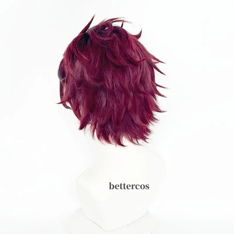 Tanjiro Kamado Peluca de cosplay Pelucas de cosplay de pelo corto marrón castaño resistente al calor + aretes