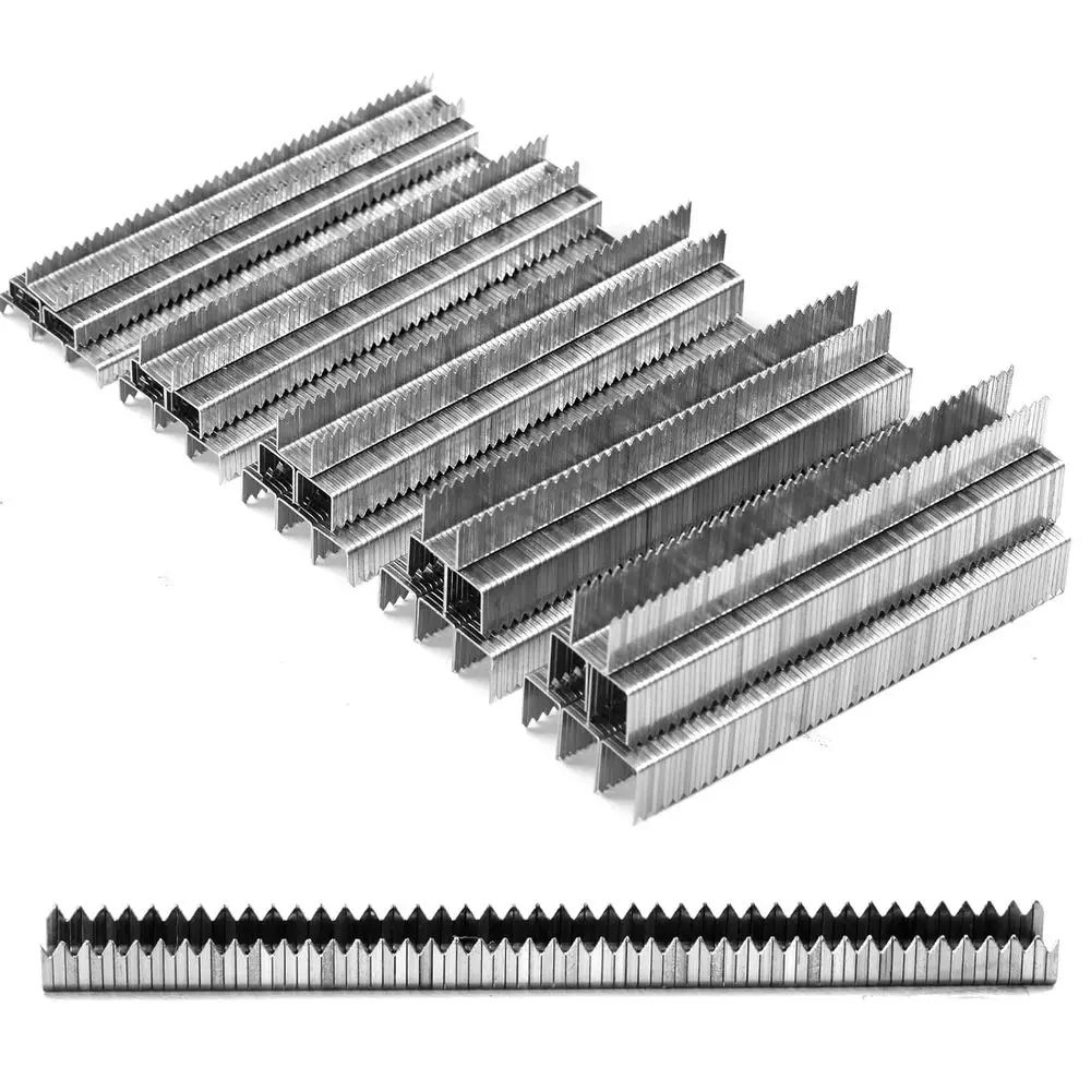 

Chiseled Pointed Heavy-Duty T50 Stainless Steel Staples, 1300 Count, 5 Sizes: 1/4, 5/16, 3/8, 1/2, 9/16, Ideal for Project Packs