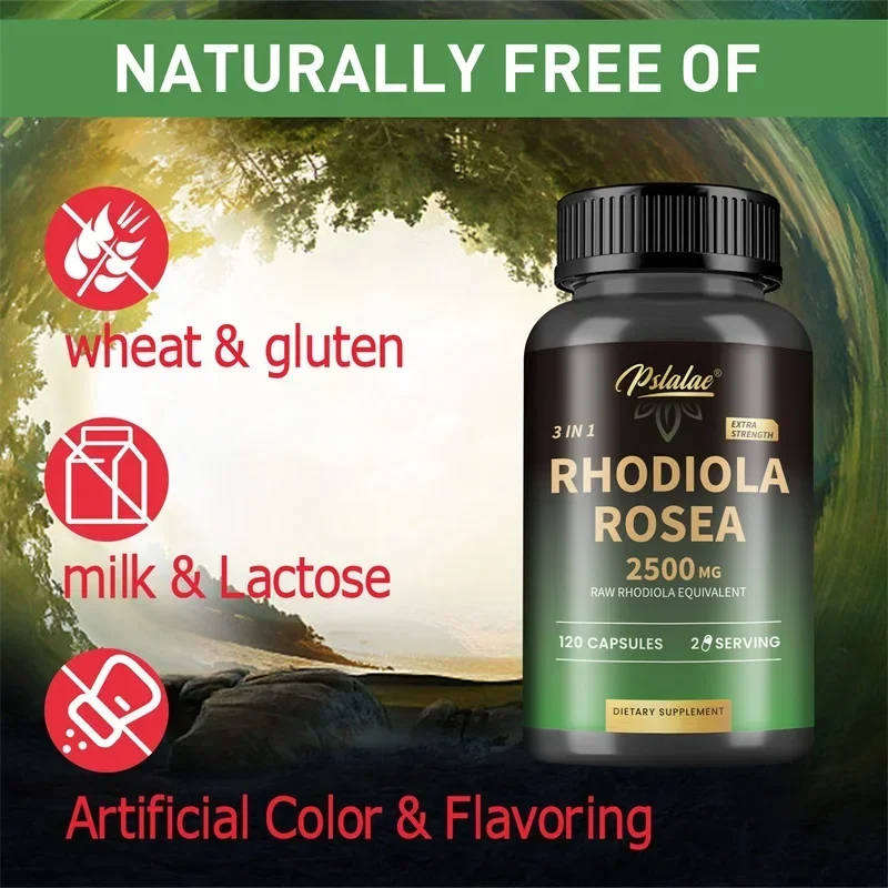 مكمل Rhodiola Rosea Max - 120 كبسولة - تخفيف التوتر والمزاج والتركيز والطاقة 2500 ملجم