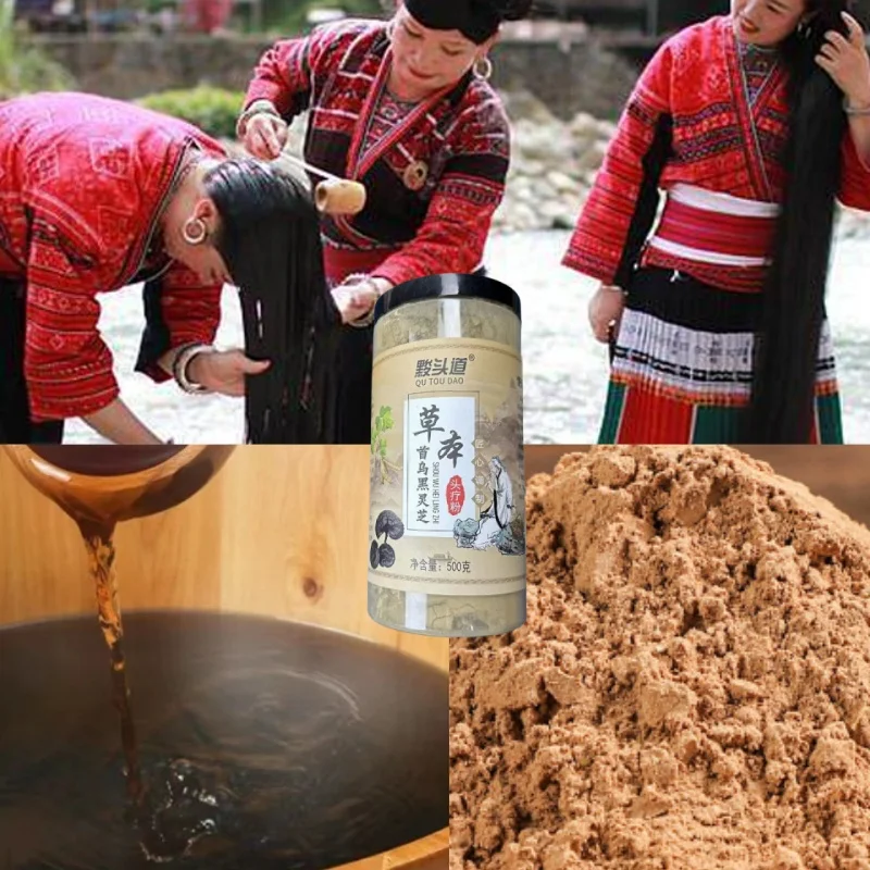 مسحوق شامبو نباتي للعناية بالشعر الصحي 500 جرام مسحوق شامبو شعر سميك فعال من Heshou Black Ganoderma Lucidum
