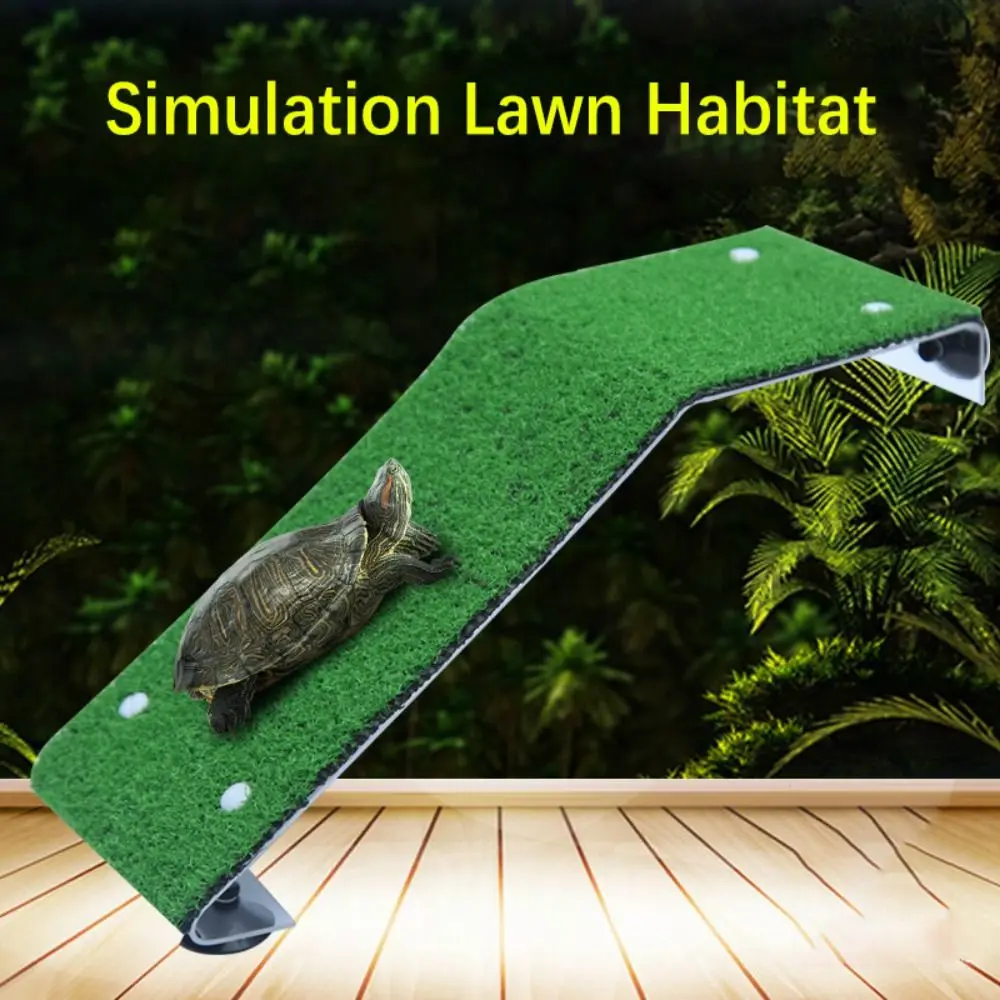 Acrylic Reptile Ramp Platform Rectangular Strong Load-bearing Turtle Basking Sunbathing Platform Powerful Suction Cup