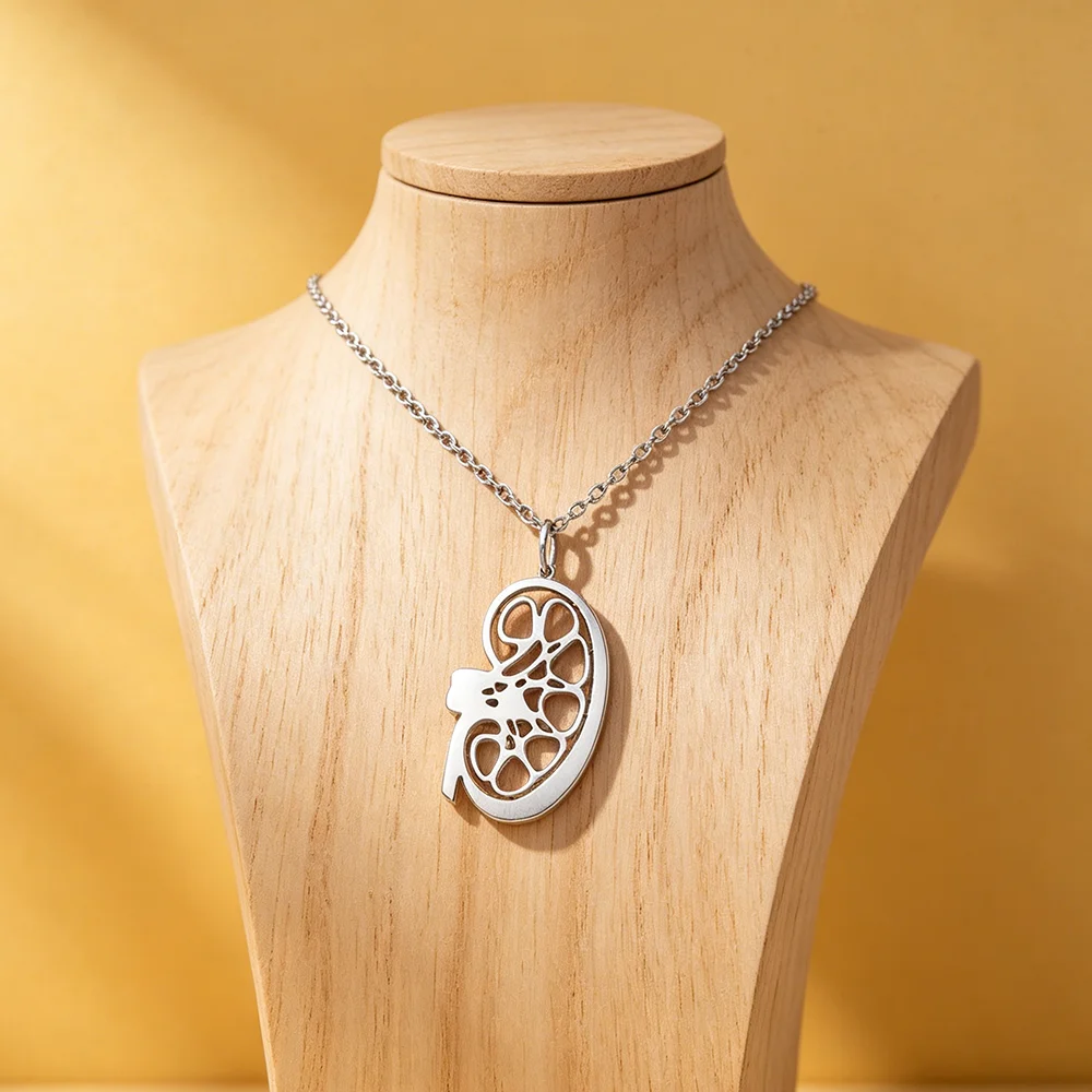 Hanreshe Stainless Steel Kidney Medical Pendant Necklace Siver Plated Simple Medicine Anatomy Biology Jewelry for Doctors Nurses