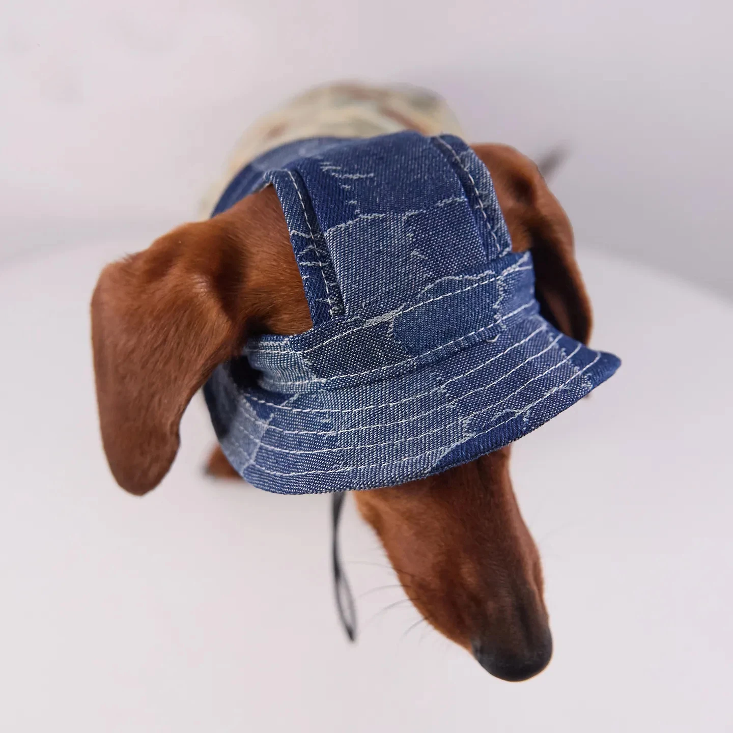 Gorra solar transpirable para perros pequeños y medianos - imagen 3