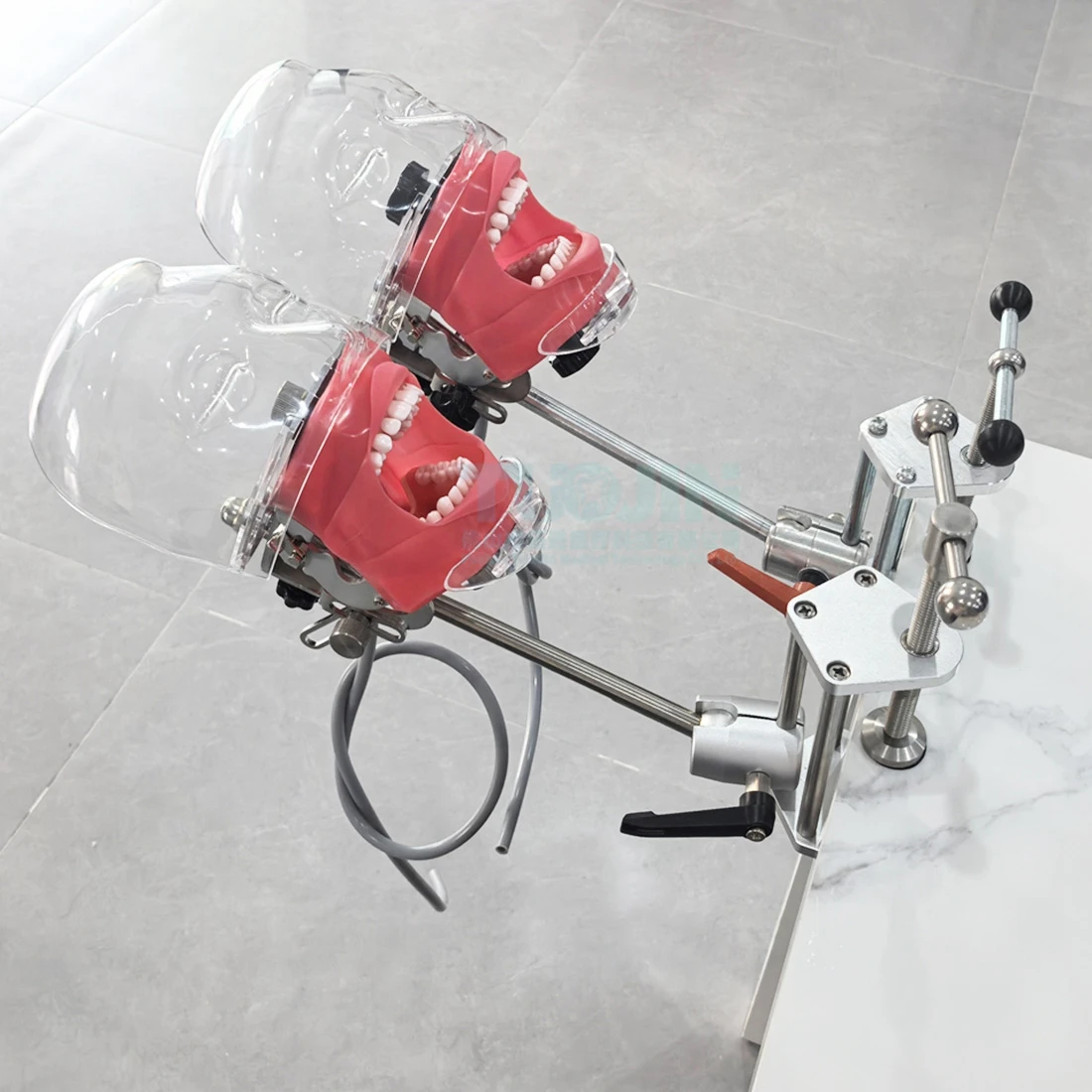 

Стоматологическая фантомная голова с зубцами для обучения стоматологом, тренировочная аппликация, модель стоматолога, модель головы манекена, стоматологический симулятор