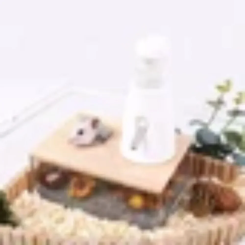 Hamster Bathroom House Sandbox Transparent Urine Sand Basin Ladder Toy Lemmings Supplies Sand Bath Container Small Pet Cleaning