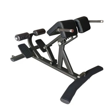 

Commercial Foldable Steel Adjustable Roman Bench Home Gym Bench Multifunctional Core Stability Training Row Machine Gym