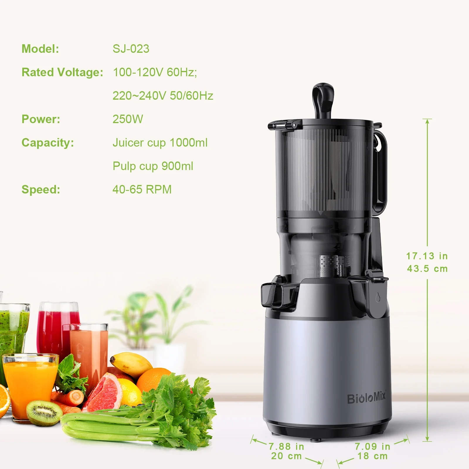 BioloMix Cold Press Juicer,with 130mm Feed Chute,Fit Whole Fruits 