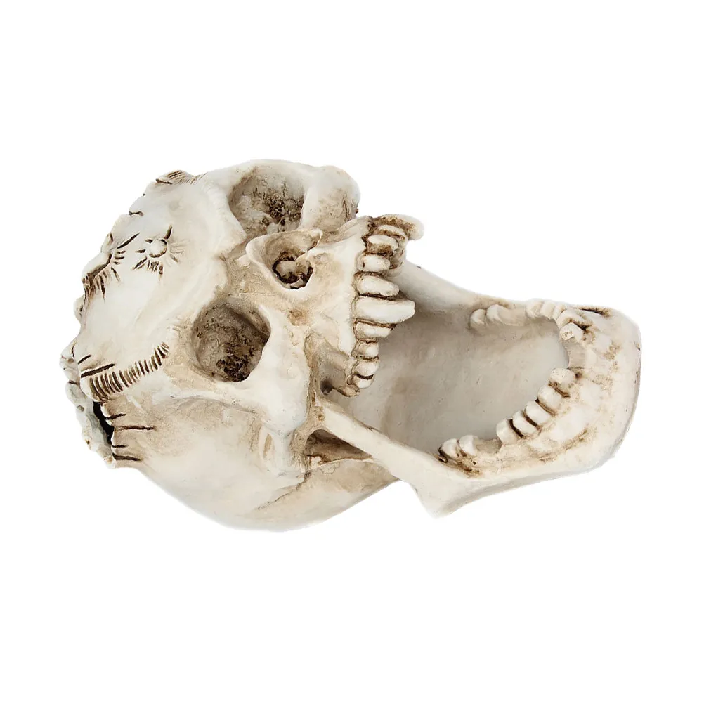 Skull Pen Holder Creative Resin Desktop Storage Container for Pens Pencils Makeup Brushes Library School Office Decor Item