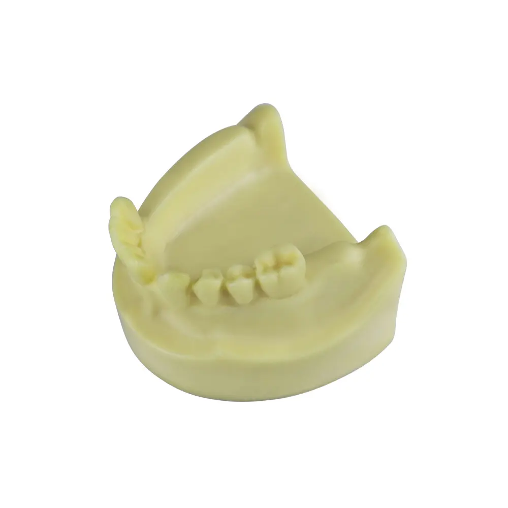 Lower Jaw Dental Practice Model Implant Model Missing Tooth Teeth Model For Training Examation Studying Education Teaching  Demo